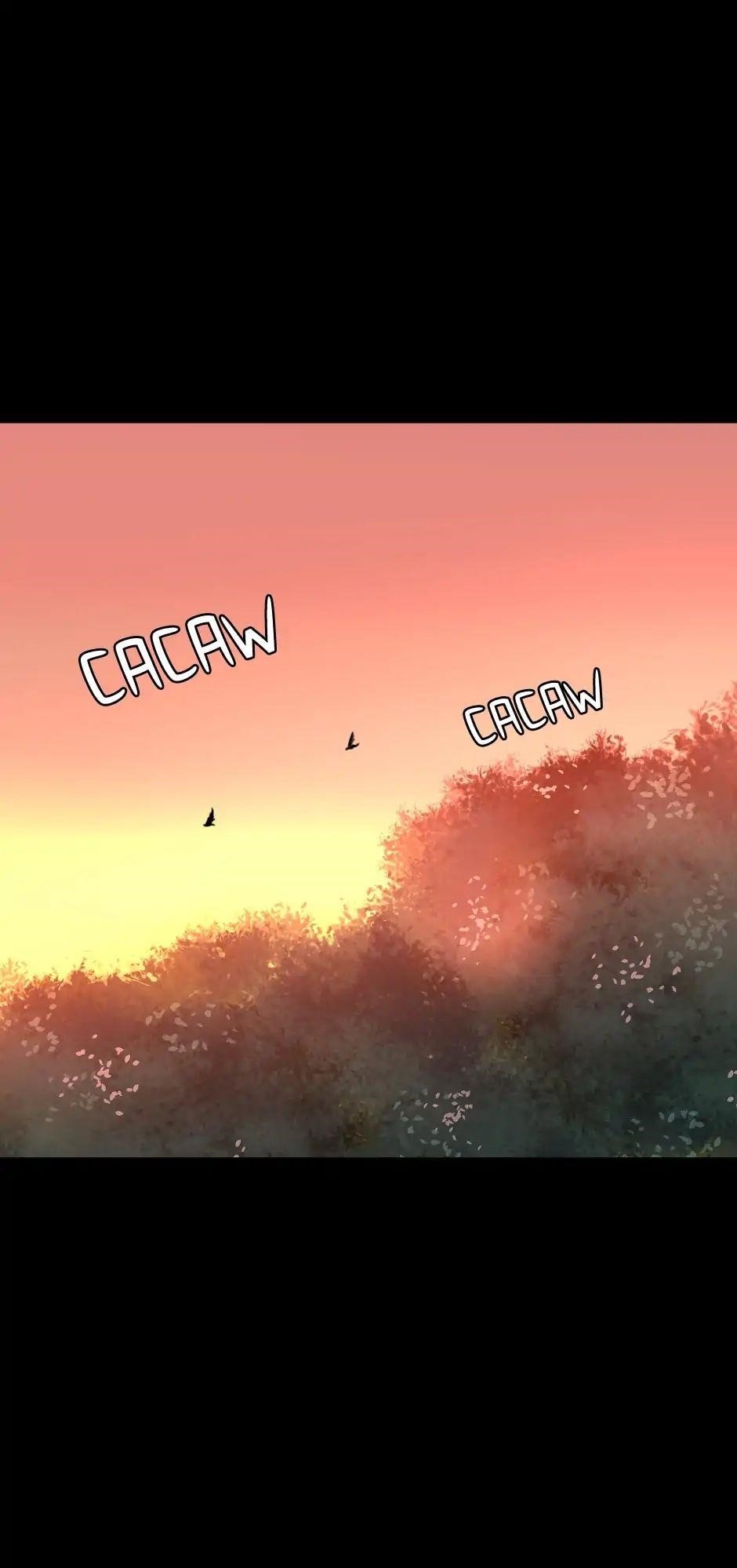 Chapter 16 Image(16)