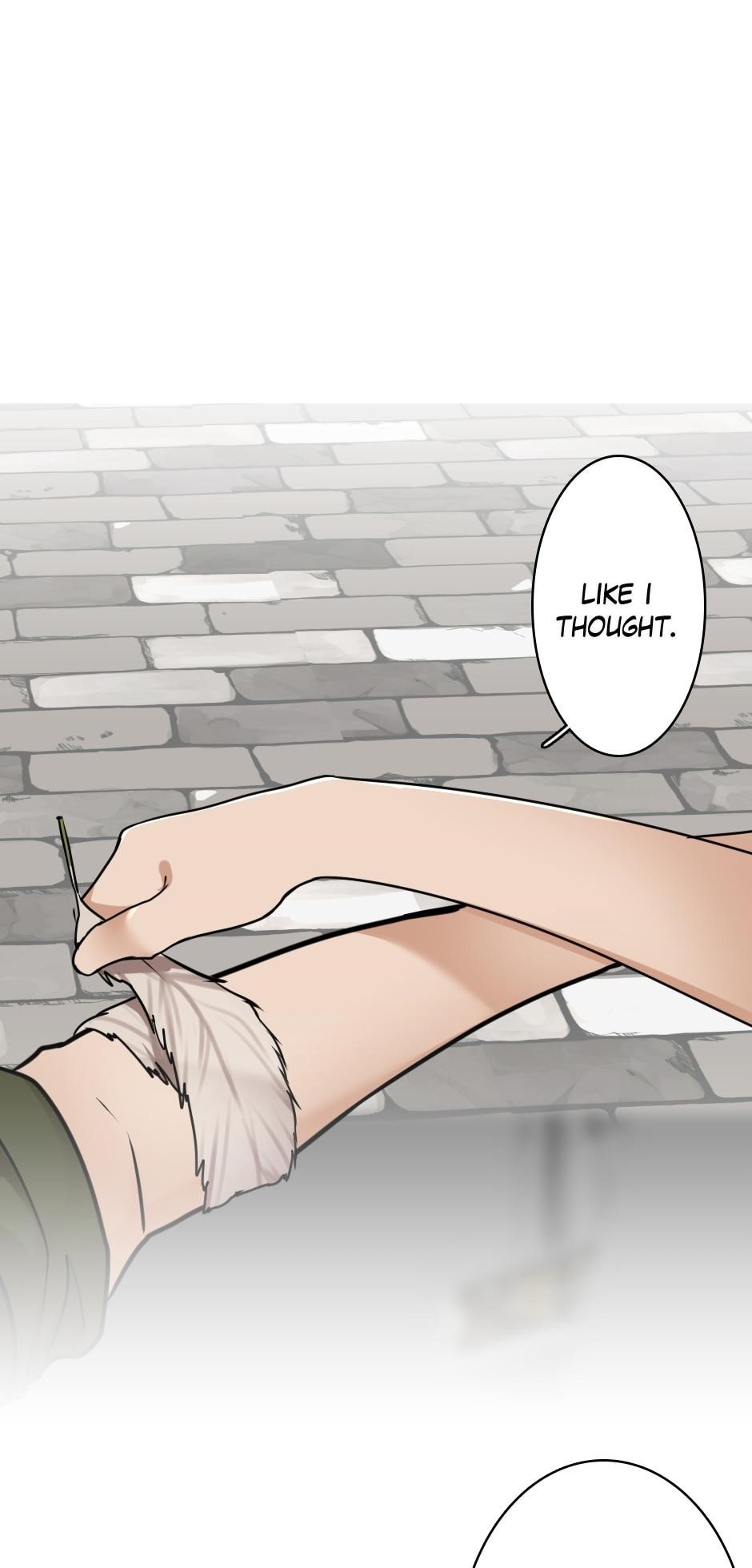 Chapter 28 Image(28)