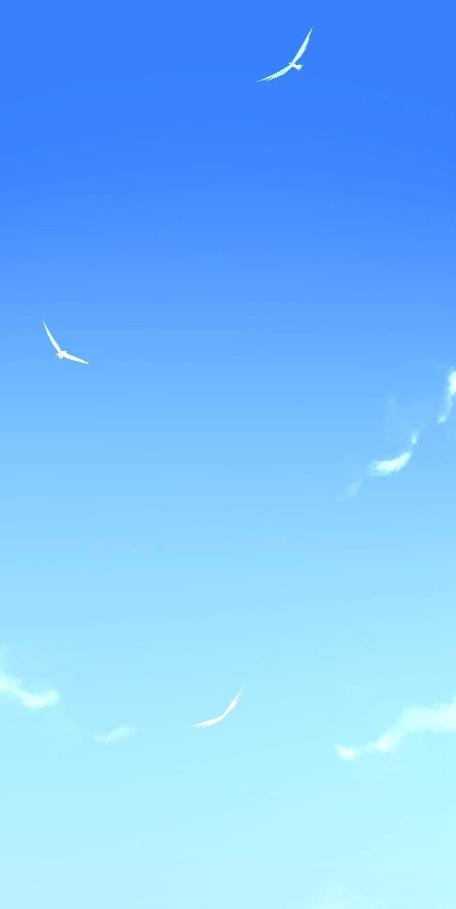 Chapter 29 Image(1)