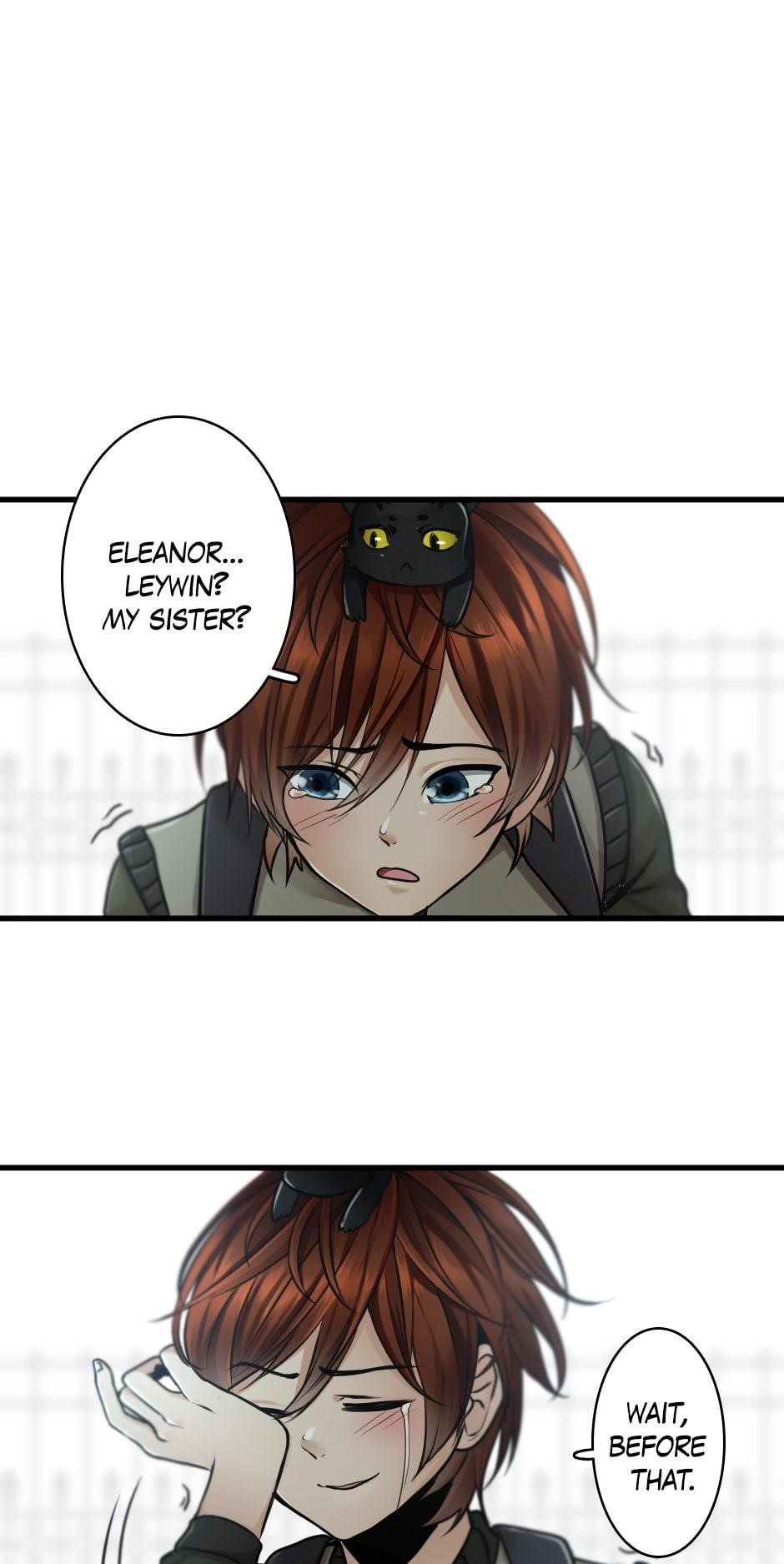 Chapter 29 Image(19)